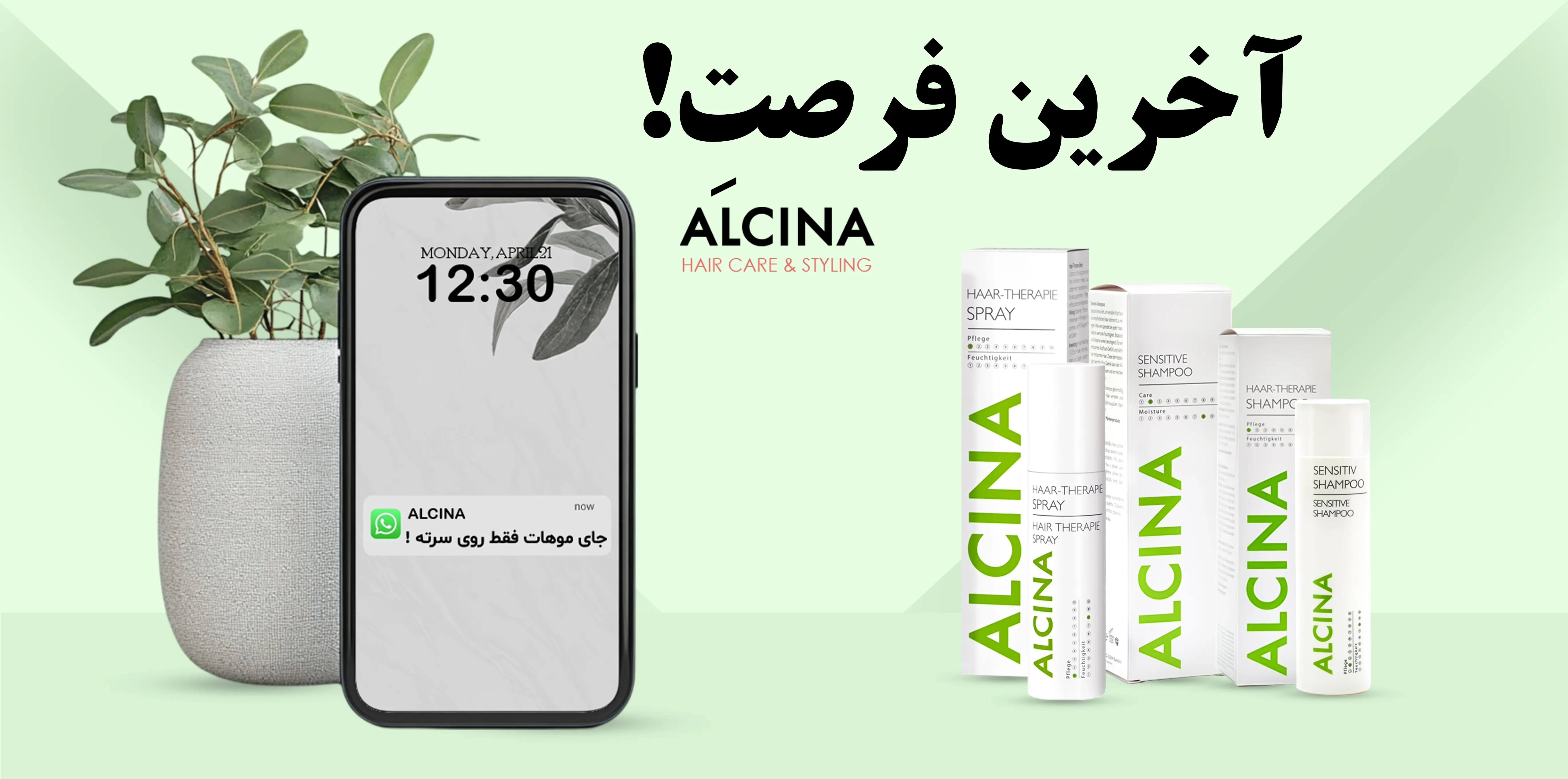 slider--1745268967-آلسینا .webp